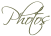 photos.jpg